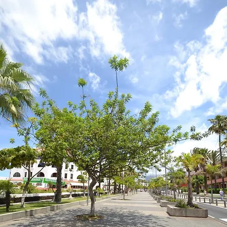 Nuevo Lirio Apartment