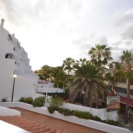 Nuevo Lirio * Arona (Tenerife)